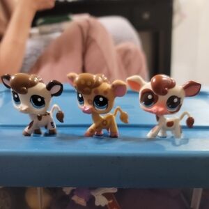 Littlest Pet Shop Trio of Cute Cow Figures in Brown, Tan, and Cream